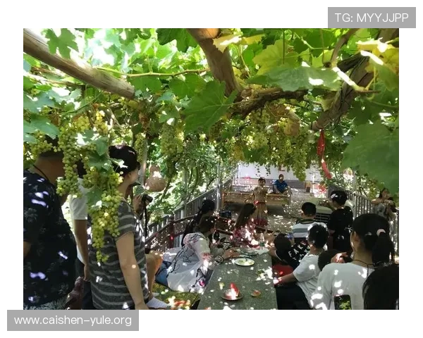 如何在cc球坊娱乐平台上安全注册账号并享受优质的游戏服务保障用户权益